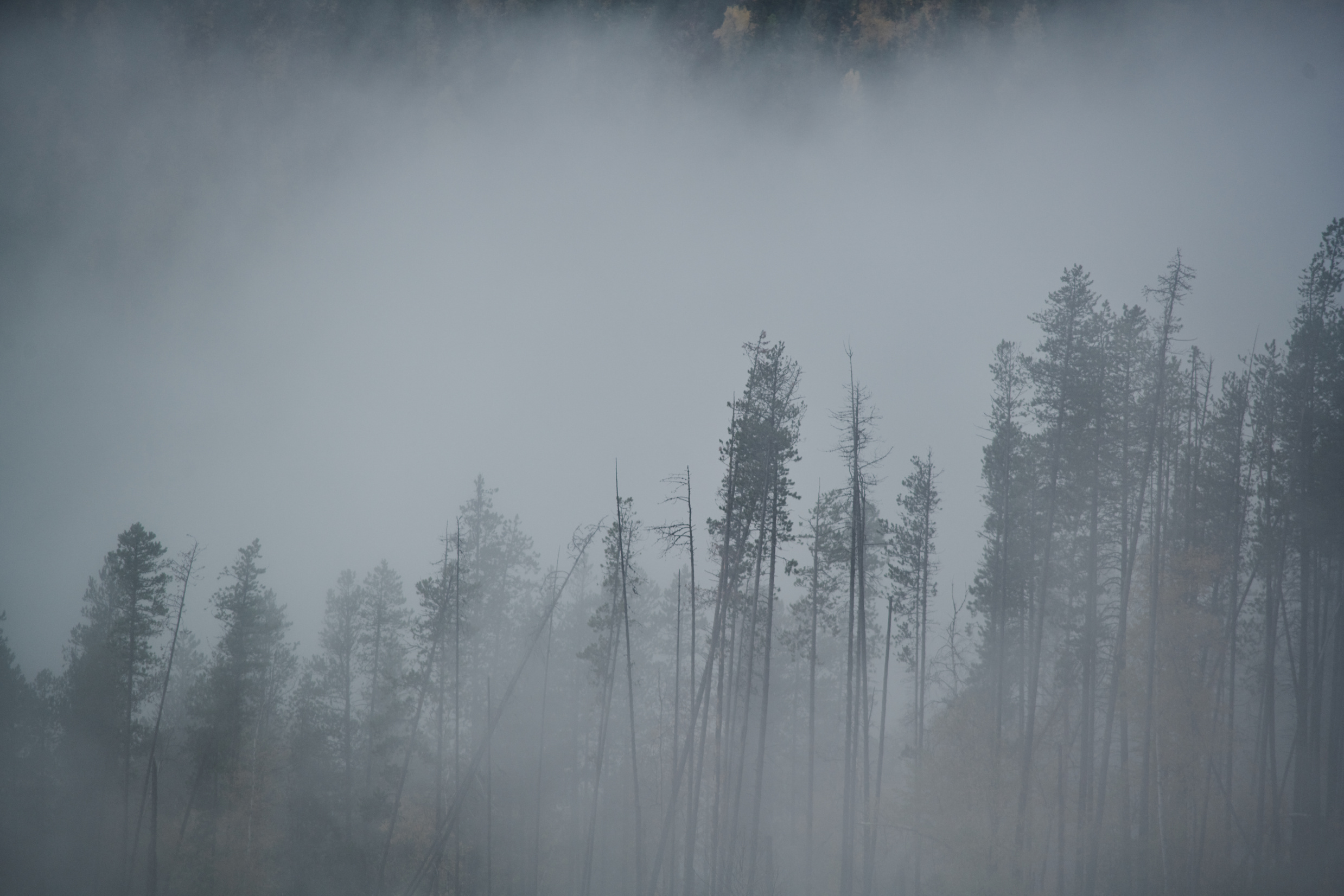 Mystery and wander lie underneath the fog